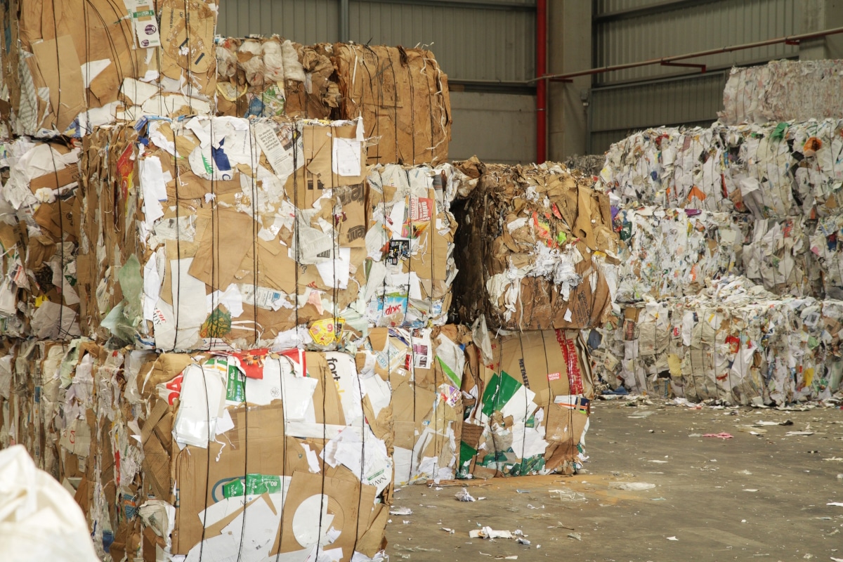 See image of carta e cartone al riciclaggio