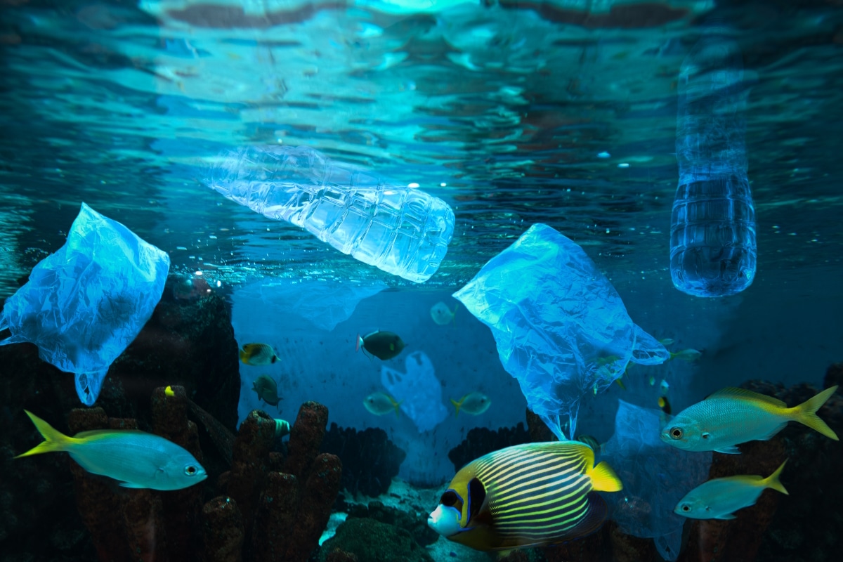 See image of plastic waste in the ocean
